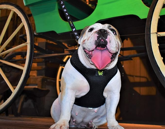 EcoBark Dog Harness - Eco-Friendly Max Comfort Harnesses - Luxurious Soft Mesh Halter - Over The Head Harness Vest- No Pull and No Choke for Medium and Large Breed Dogs (Black, XL)
