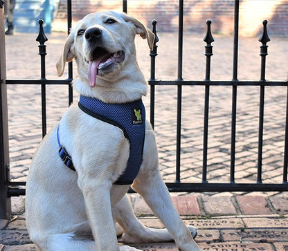 EcoBark Dog Harness - Eco-Friendly Max Comfort Harnesses - Luxurious Soft Mesh Halter - Over the Head Harness Vest- No Pull and No Choke for Small, Toy Breed, and Teacup Dogs (XS, Navy)