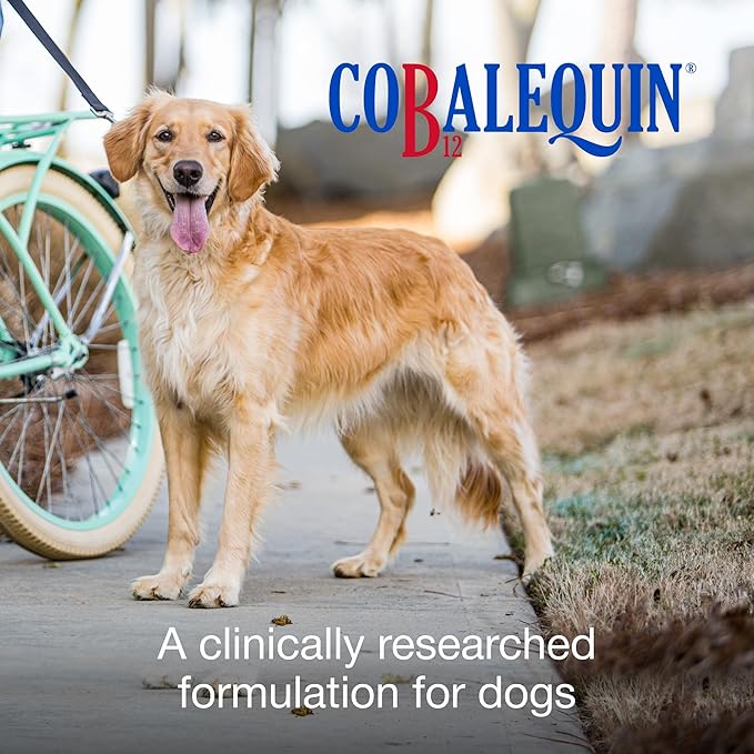 Nutramax Laboratories Cobalequin B12 Supplement for Medium to Large Dogs, 45 Chewable Tablets, Hydrolyzed Chicken, 2.08 ounces