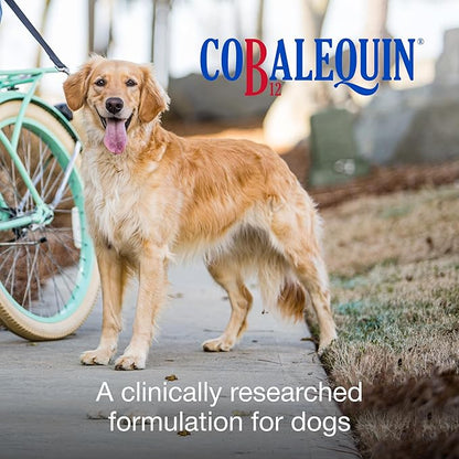Nutramax Laboratories Cobalequin B12 Supplement for Medium to Large Dogs, 45 Chewable Tablets, Hydrolyzed Chicken, 2.08 ounces