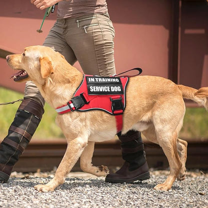 Service Dog Vest Harness and Leash Set+10 Patches,No Pull&Adjustable Reflective Dog Harness with Soft Padded Handle for Training/Everyday,Fit Small/Medium/Large/Extra-Large Dogs(Red M)