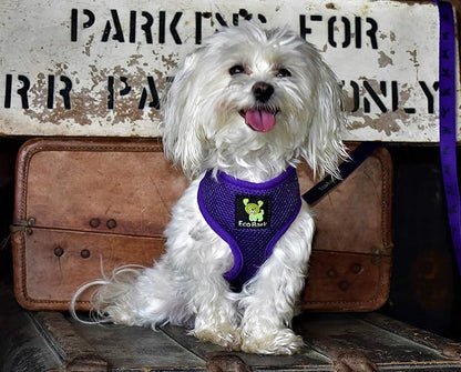 EcoBark Dog Harness - Eco-Friendly Max Comfort Harnesses - Luxurious Soft Mesh Halter - Over The Head Harness Vest- No Pull and No Choke for Small, Toy Breed, and Teacup Dogs (XS, Purple)