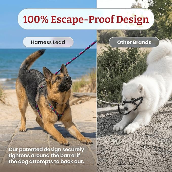 Harness Lead Escape Resistant, Reduces Pull Dog Harness, Medium/Large, Black