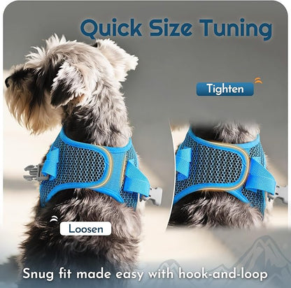Eagloo Small Dog Harness and Leash Set, Step in Puppy Vest with Breathable Soft Mesh, Walking Reflective Pet Harness for Small Dogs, Blue, S