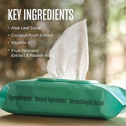 WagWell Daily Cleansing Dog Wipes, 50 Count | Vet-Approved, Helps Reduce Odor, Fragrance-Free, Microbiome-Friendly Dog Grooming Wipes | Gentle Head-to-Tail Cleaning for Paws, Coat & Skin (Avoid Eyes)