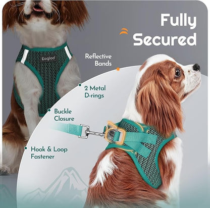 Eagloo Small Dog Harness and Leash Set, Step in Puppy Vest with Breathable Soft Mesh, Walking Reflective Pet Harness for Small Dogs, Forest Green, M