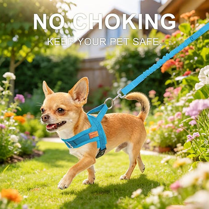 BEAUTYZOO Dog Harness for Small Dogs, No Pull Dog Harness and Leash Set, Soft Escape Proof Puppy Vest Harness with Handle, Reflective Lightweight Step in Harness for Girl Boy Dogs, Blue M