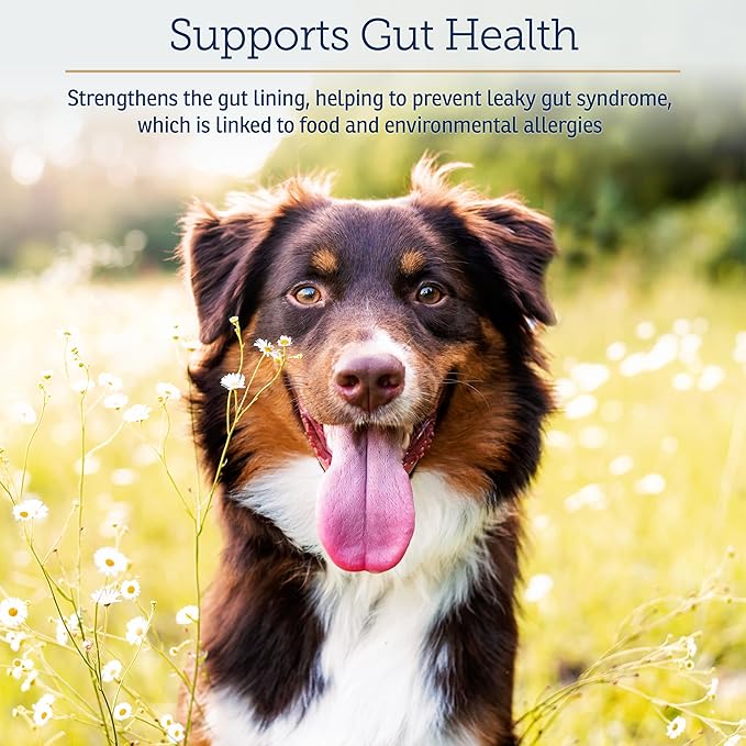 Rx Vitamins Colostrum for Dogs & Cats - Whole Bovine Colostrum Powder - Cat & Dog Supplement Ideal Immune Support, Promotes Digestive Health & Allergy Support - 3.52 oz (100g)