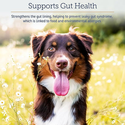 Rx Vitamins Colostrum for Dogs & Cats - Whole Bovine Colostrum Powder - Cat & Dog Supplement Ideal Immune Support, Promotes Digestive Health & Allergy Support - 3.52 oz (100g)