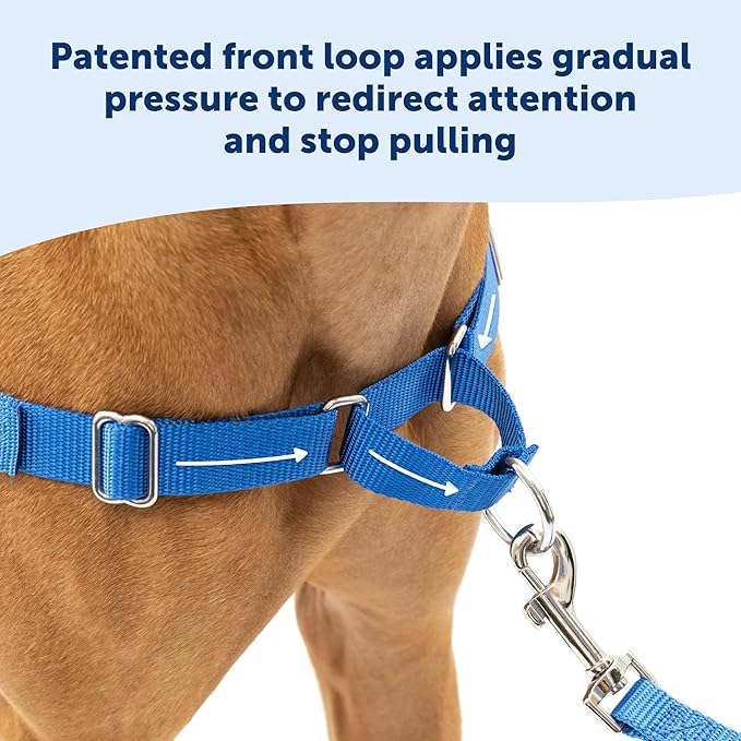 PetSafe Easy Walk Harness for Dogs - Pull-Free Walks - Patented Martingale Loop Design - Front Chest Leash Attachment - Comfort Straps - Breathable Harness Design - Medium/Large, Red/Black