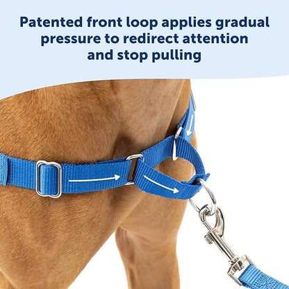 PetSafe Easy Walk Harness for Dogs - Pull-Free Walks - Patented Martingale Loop Design - Front Chest Leash Attachment - Comfort Straps - Breathable Harness Design - Medium, Red/Black