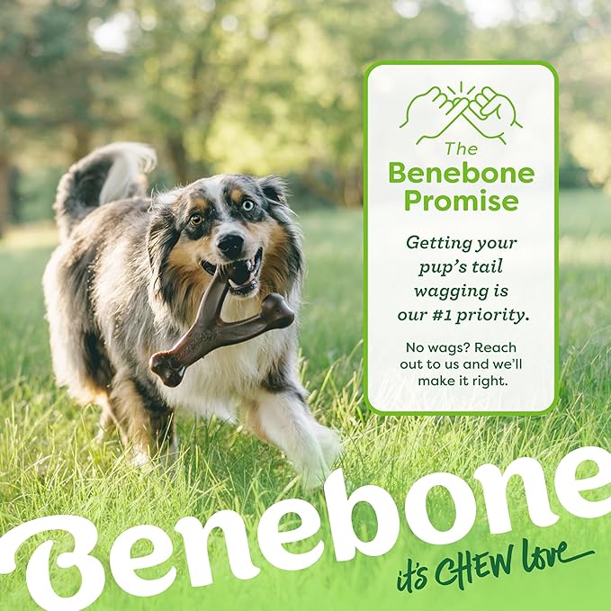 Small 3-Pack, Benebone Wishbone Durable Dog Chew Toy for Aggressive Chewers, Real Bacon, Chicken, Peanut Butter, Made in USA, Variety Pack
