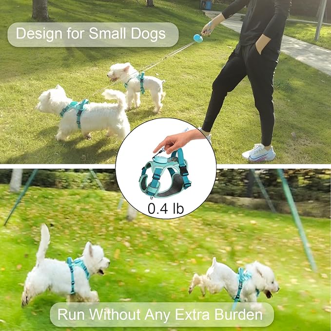 Dog Harness for Small Dogs up to 16lbs, 3-in-1 No Pull Lightweight Harness with 6.6ft Retractable,Wearable Leash,Front Clip,Handle,Reflective Dog Vest with Patch,Wrist Strap,Free Hand Leash-Blue (XXS)