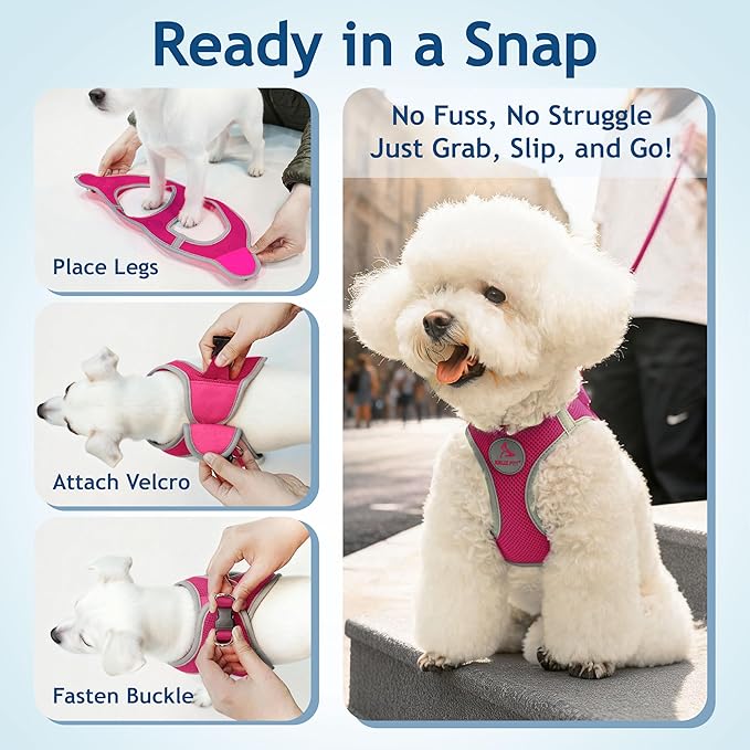 Kruz Dog Harness (Chest 13.5"-14", Weight 4–6 lbs) Athletica Adjustable Heavy Duty No Choke Puppy Vest for Small Dogs Lightweight Air Mesh, Reflective, Puppy Essentials – Raspberry Pink, X-Small