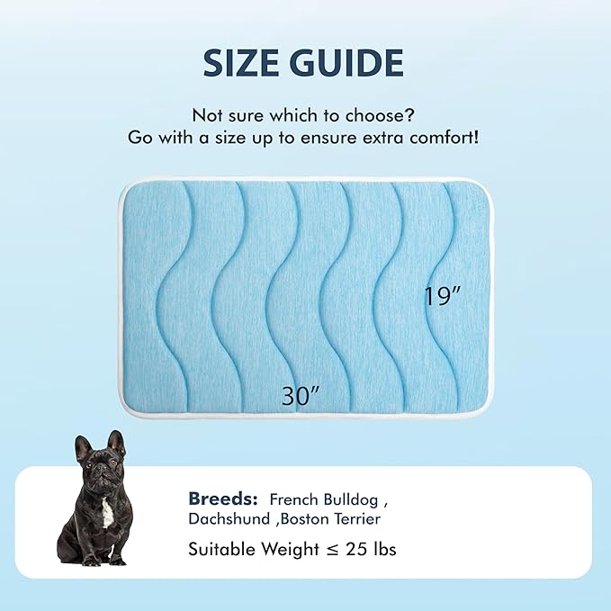 MICROCOSMOS 0.8" Thick Cooling Dog Foam Pad & Summer Pet Sleeping Mat, Machine Washable, Materials Safe, Portable Flat Pet Bed for Dogs.(Sky Blue, 30" x 19")