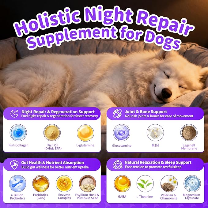 Dog Vitamins and Supplements for Nighttime Repair, Calming, Joint, Gut, Dog Multivitamin Powder for Homemade Food with Collagen, Glucosamine, GABA, Probiotics - Beef Flavor, 75 Scoops