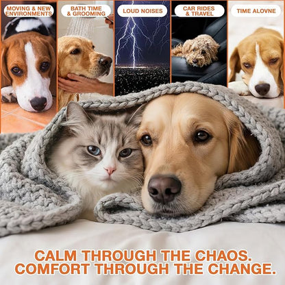 (2 Packs) Неmp Oil for Dogs Cats, Organic Pet Calming Drops, Cat Dog Anxiеty Relief & Strеss & Pаin Rеlief for Dogs, Supports Rеlaxation & Slеep, Hip Joint Health