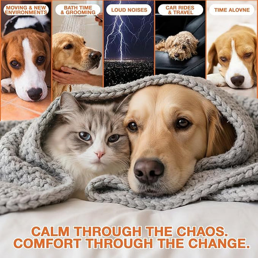 (2 Packs) Неmp Oil for Dogs Cats, Organic Pet Calming Drops, Cat Dog Anxiеty Relief & Strеss & Pаin Rеlief for Dogs, Supports Rеlaxation & Slеep, Hip Joint Health