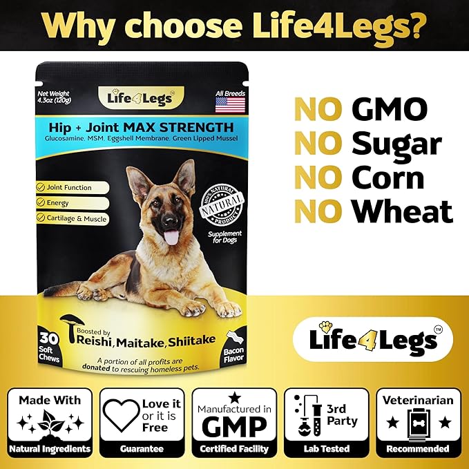 Soft Chews Hip and Joint Supplement for Dogs - Dog Joint Pain Relief Treats - Glucosamine, Chondroitin, Turmeric - Mobility Bites Supplement