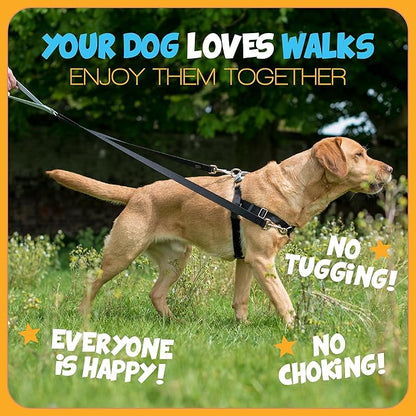 2 Hounds Design - Freedom No-Pull Harness & Training Leash in Blue and Rainbow | Dual Leash Loops, No Pulling on Walks | Lined to Prevent Chaffing | for Small Sized Dogs (Size S, Chest 20”- 24”)