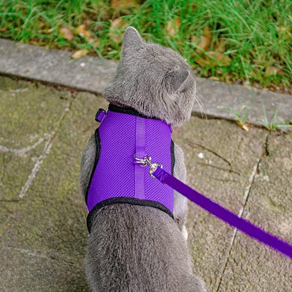 PUPTECK Soft Mesh Cat Vest Harness and Leash Set Puppy Padded Pet Harnesses Escape Proof for Cats Small Dogs Rabbits Bunny