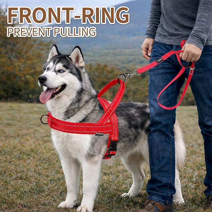 No Pull Dog Harness and Leash Set-Reflective Vest with Handle&5FT Dog Leash with Car Seatbelt Clip,Breathable Mesh&Quick Fit Dog Harness Easy for Medium Large Dogs Training Walking(Red,XL)