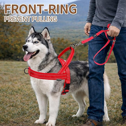 No Pull Dog Harness and Leash Set-Reflective Vest with Handle&5FT Dog Leash with Car Seatbelt Clip,Breathable Mesh&Quick Fit Dog Harness Easy for Medium Large Dogs Training Walking(Red,M)