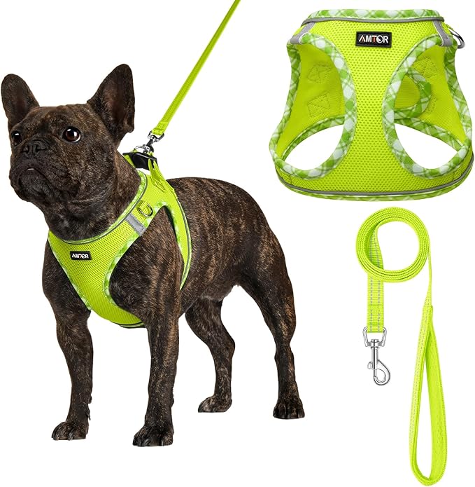 AMTOR Small Dog Harness with Leash Set, No Escape Easy Walk Puppy Harnesses for Training Walking, Step-in Reflective Soft Dogs Vest for XS S Medium Extra-Small Large Sized Dog(L Size,Green/White)