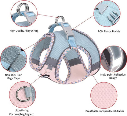 AIITLE Tiny Dog Harness - Lightweight Mesh Step-in Vest for Puppy, Reflective & Escape-Proof Design with High-Stick Magic Tape - Indoor/Outdoor Use for Chihuahua, Maltese, Shih Tzu(Blue-Pink, XXXS)