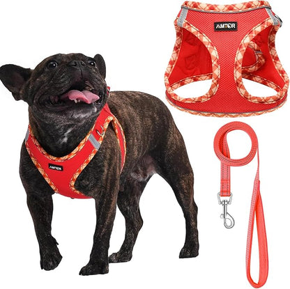 AMTOR Small Dog Harness with Leash Set, No Escape Easy Walk Puppy Harnesses for Training Walking, Step-in Reflective Soft Dogs Vest for XS S Medium Extra-Small Large Sized Dog(Red,XL)
