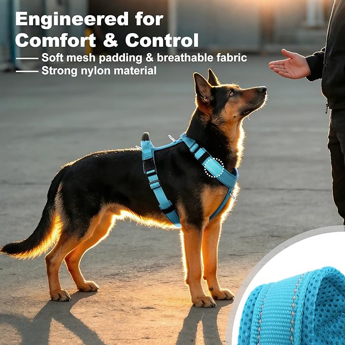 No Pull Dog Harness with Handle, Soft Mesh Padded Adjustable for Small Medium Large Dogs | Reflective Easy Walk Harness with Front Clip for Training, Running & Outdoor (Cyan, M)