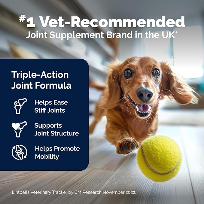 YuMOVE Hip & Joint Supplement for Dogs with Glucosamine, Hyaluronic Acid, Green Lipped Mussel & Omega 3 Joint Supplement - Regular or Advanced Strength (150ct Chews, Regular Strength)