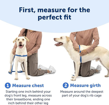 PetSafe Easy Walk Deluxe Dog Harness, No Pull Dog Harness – Perfect for Leash & Harness Training – Stops Pets from Pulling and Choking on Walks – Large, Apple