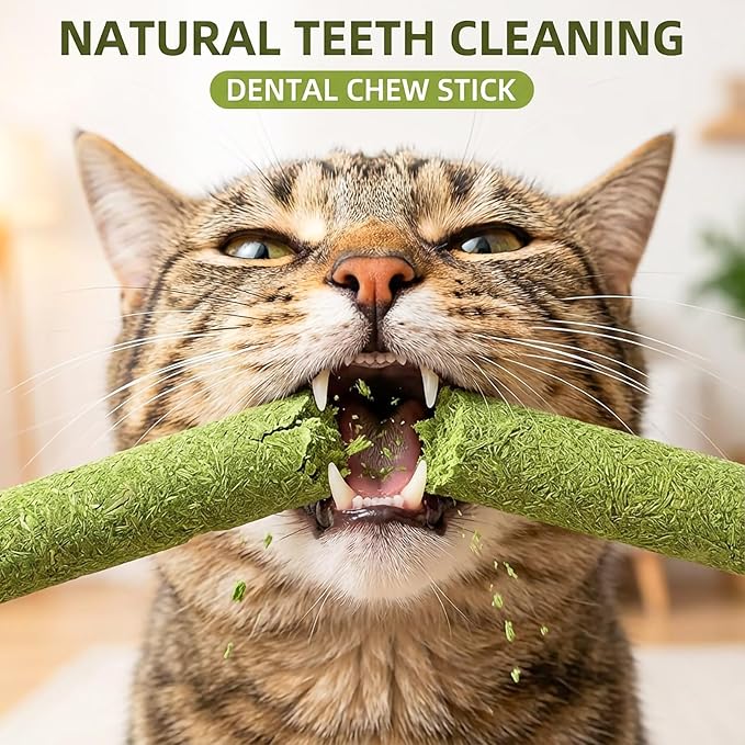 100g/3.5oz Cat Grass Teething Stick Cats Toy Chew for Removal Hairball Lickable Kitten Treat Catnip Snack for Indoor Edible Freeze Dried Kitty Food for Dental Care Health Elimate Hairball