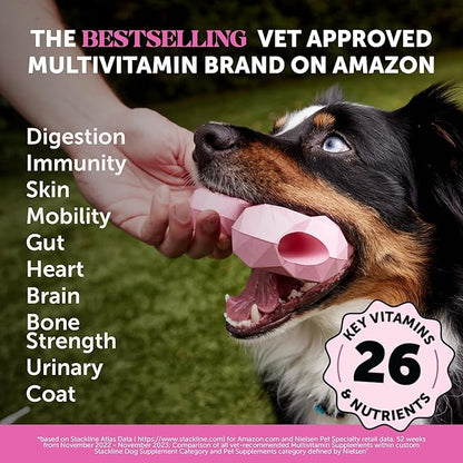 Pet Honesty Health & Allergy Relief Duo — Multivitamin 10-in-1 Chews (90 ct) + Allergy & Itch Relief Chews (90 ct)