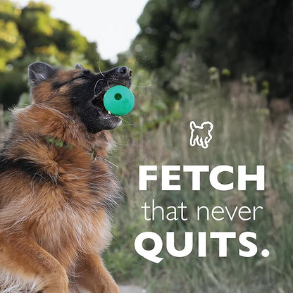 Chew King Fetch Balls Extremely Durable Natural Rubber Toy Pack of 3 - 3 inch Balls (CM-0263-CS01)