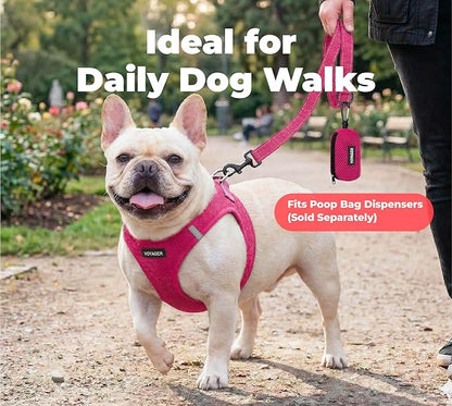 Best Pet Supplies Voyager Reflective Dog Leash or Collar with Neoprene Handle, for Small, Medium, and Large Breed Puppies, Cute and Heavy Duty for Walking, Running and Training - Fuchsia (Leash), L