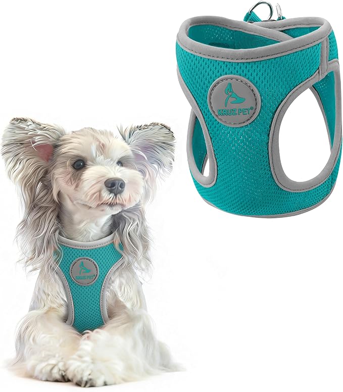 Kruz Dog Harness (Chest 13.5"-14", Weight 4–6 lbs) Athletica Adjustable Heavy Duty No Choke Puppy Vest for Small Dogs Lightweight Air Mesh, Reflective, Puppy Essentials – Turquoise, X-Small