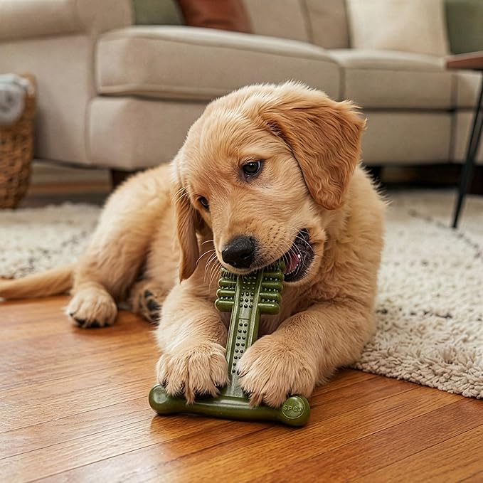 SPOT Bam-Bones Plus Toothbrush Dog Chew Toy 2-Pack for Small Dogs 10-30 lbs, Bamboo & Nylon Dental Chew with Mint & Baking Soda, T-Bone for Moderate to Heavy Chewers, 4 Inch