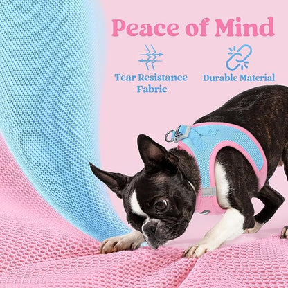 rabbitgoo Small Dog Harness, Step-in Soft Mesh Puppy Vest with Safety Buckle, Breathable Reflective Pet Harness for Extra Small Dogs, Blue & Light Pink XXS
