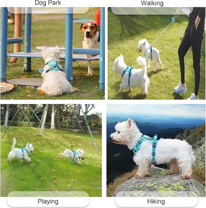 Dog Harness for Small Dogs up to 16lbs, 3-in-1 No Pull Lightweight Harness with 6.6ft Retractable,Wearable Leash Set,Front Clip,Handle,Reflective Dog Vest with Patch,Wrist Strap,Free Hand Leash-Blue