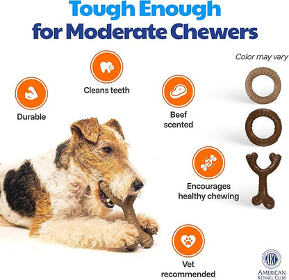 American Kennel Club 2 Pack Training Dog Chew Toy, Wood-Infused PP Wishbone and Ring Dog Toys, Durable Dog Toys for Moderate Chewers, Beef Scented for Long-Lasting Engagement, Supports Dental Health