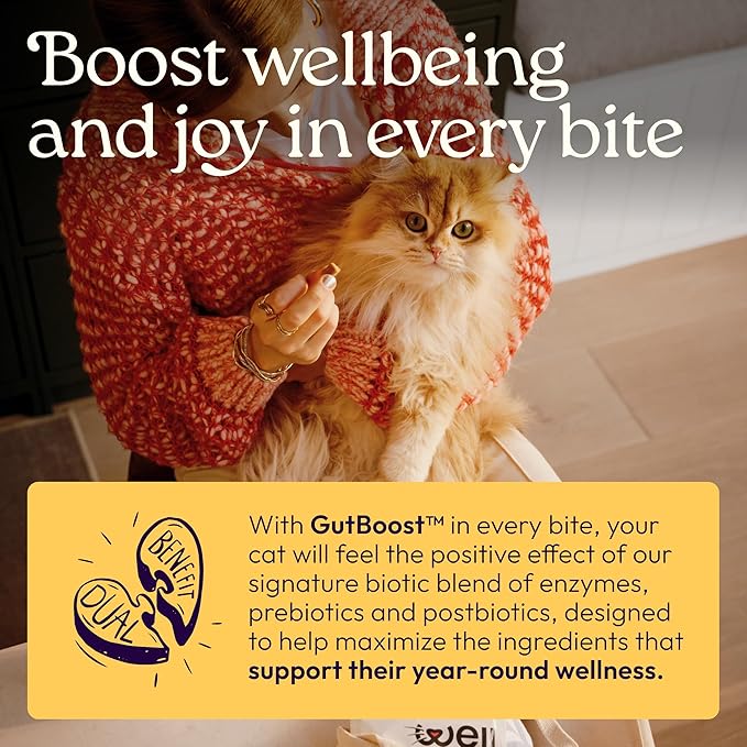 New! WellJoy Cat Supplement Immune+ GutBoost | Cat Health Supplement | with Lysine | Enhances Immune Response | Dual-Benefit Formula | Vet Formulated | Made in USA | Chicken Flavor | 90 Soft Chews
