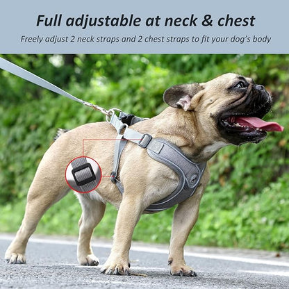 Dog Harness with Leash Set, No Pull Adjustable Step in Dog Collars Harness with Breathable Padded Vest Harness for Small Medium Large Dogs Training and Running(L, Gray)