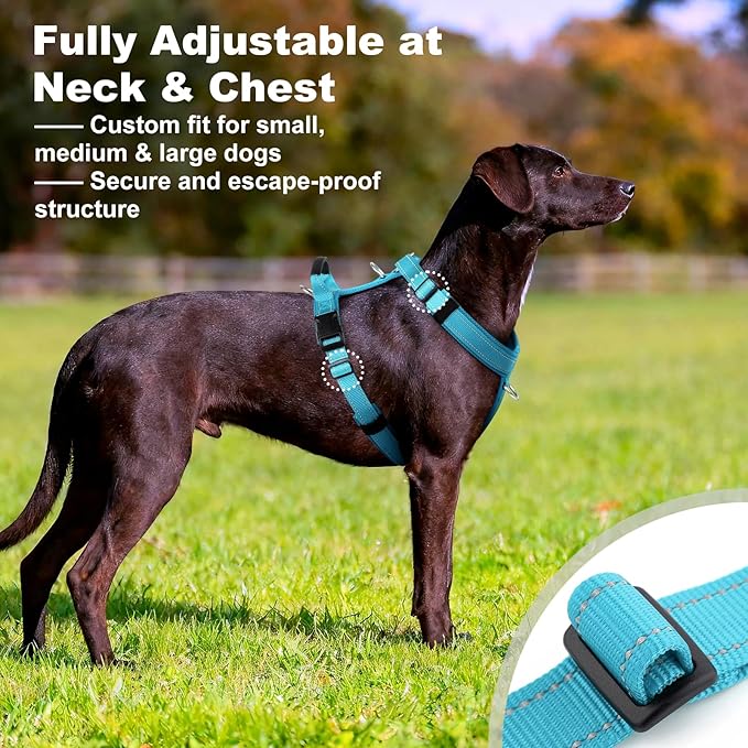 No Pull Dog Harness with Handle, Soft Mesh Padded Adjustable for Small Medium Large Dogs | Reflective Easy Walk Harness with Front Clip for Training, Running & Outdoor (Cyan, M)