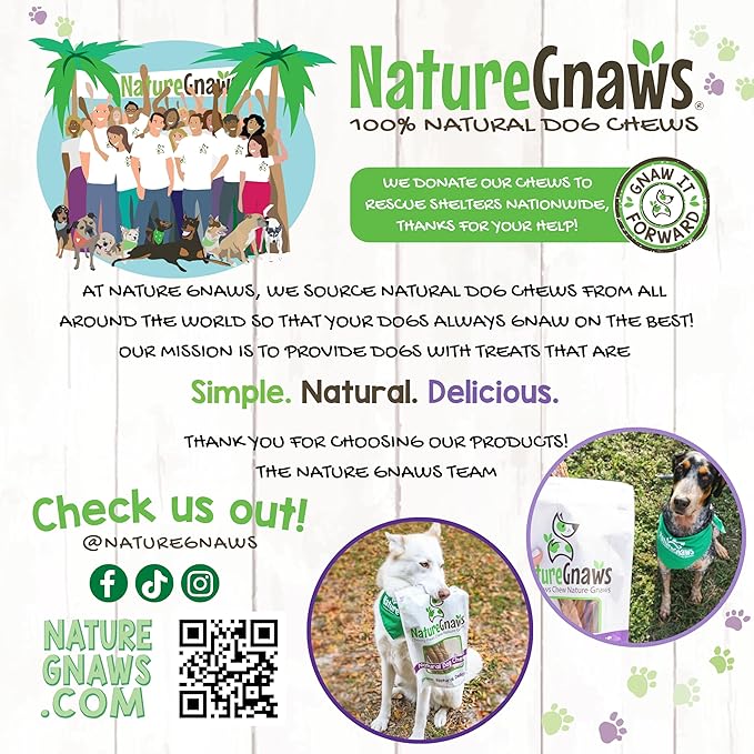 Nature Gnaws Large Bully Sticks for Dogs 11-12" (10 Count) - Thick Long Lasting for Aggressive Chewers and Large Dogs - Natural Beef Dog Chew Bones