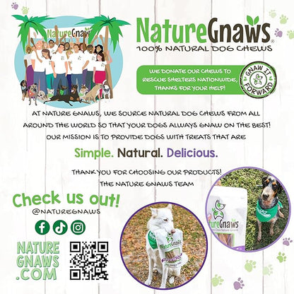 Nature Gnaws Large Bully Sticks for Dogs 11-12" (10 Count) - Thick Long Lasting for Aggressive Chewers and Large Dogs - Natural Beef Dog Chew Bones