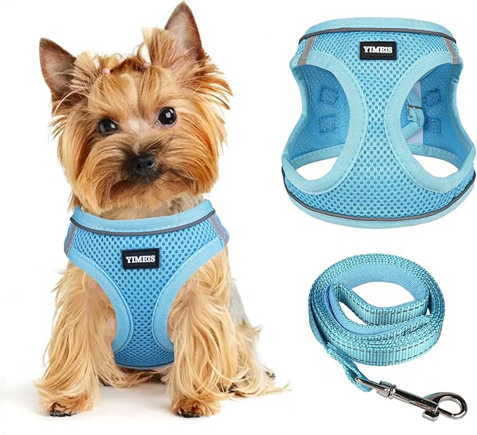 Dog Harness for Small Dogs and Leash Set, Honeycomb Grid, Reflective Lightweight Harness & Anti-Twist Pet Lead Multi Color, Size: XS-S-M. (XS, Sky Blue)