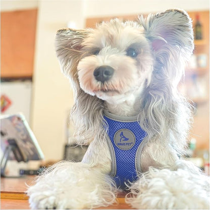 Dog Harness for Small Dogs (Chest 13.5"-14", Weight 4–6 lbs) | Athletica Adjustable Heavy Duty Dog Harness | No-Choke Puppy Vest with Lightweight Reflective Air Mesh | Blue, X-Small