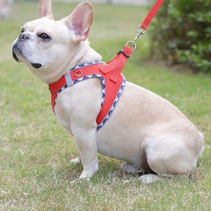 Mercano Soft Mesh Dog Harness and Leash Set, No-Chock Step-in Reflective Breathable Lightweight Easy Walk Vest Harnesses with Safety Buckle for Small Dogs, Cats (Red, XS)